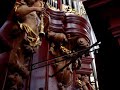 Organ at St. Bavo in Haarlem, Netherlands