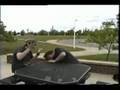 videos de Gorilla