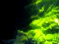 ������ι�Ԥ���19��UNDER WATER WORLD�ԡ�:YouTube������=19��