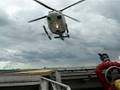 videos de Llegada del vuelo