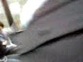 de emoe en de kevijn documentere deel 2