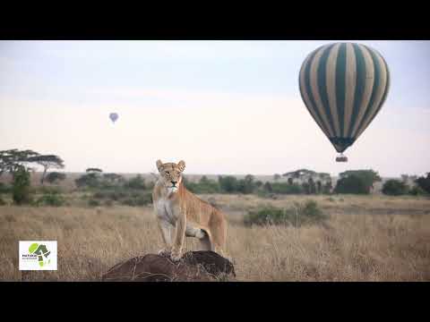 Tanzania Safari with MATUKIO ADVENTURES