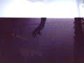 me-videoin-at-thorpe-park.html