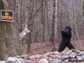 WORLD'S MOST SHOCKING BIGFOOT VIDEOS - 5