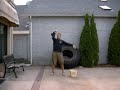 Sandbag and kettlebell complexes