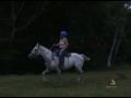 Chaves Horseback  Waterfall Tour
