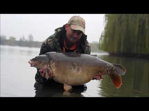 XL Carp Video