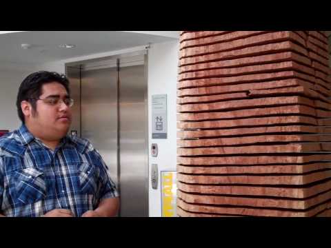 Crack & Warp Column: David Nash at Missoula Art Museum YouTube Preview Image