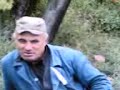 Vidovac berba...