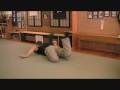 Systema Back Roll
