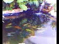 My Koi Pond January 16 2007 My Koi Pond January 16 2007