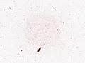 simple animation