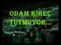 Texas supporters Trib�n show