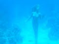 Cozumel mermaid