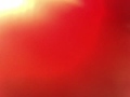 Video Cam Direct Upload ... cooking Japanese food bento tamagoyaki furikake onigiri noritama yukari Vienna sausage chicken karaage apple 弁当 料理 レシピ クッキング 作り方 