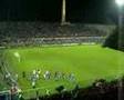 FIORENTINA IN CHAMPIONS La festa al Franchi