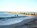 black sea 2008
