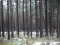 Pyramide in Winter in Waldviertel / Austria