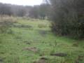 videos de Picture 029