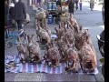 TIBET 2007 PART 2