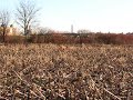 On the deer track
