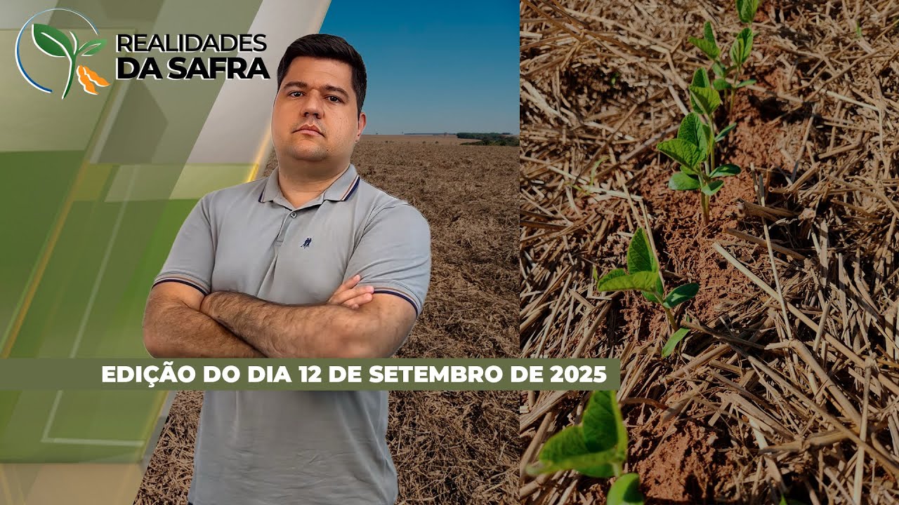 REALIDADES DA SAFRA - EDIÇÃO 12-09-2025