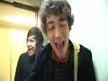 the wombats in a lift