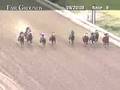 FAIR GROUNDS, 2008-08-20, Race 8