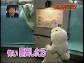 小倉優子動画