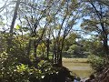 Zip Line - Petey - Camera 2