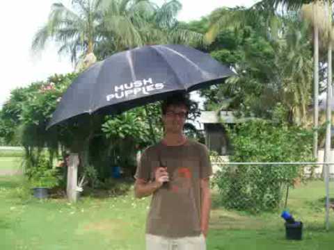 Image de prévisualisation YouTube