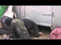 Meow Meow Kitty prank on Kohn Sports