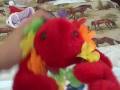 videos de Osama Ben Lobster Doing The Hoola