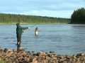 На севере. www.fishingtvclub.ru