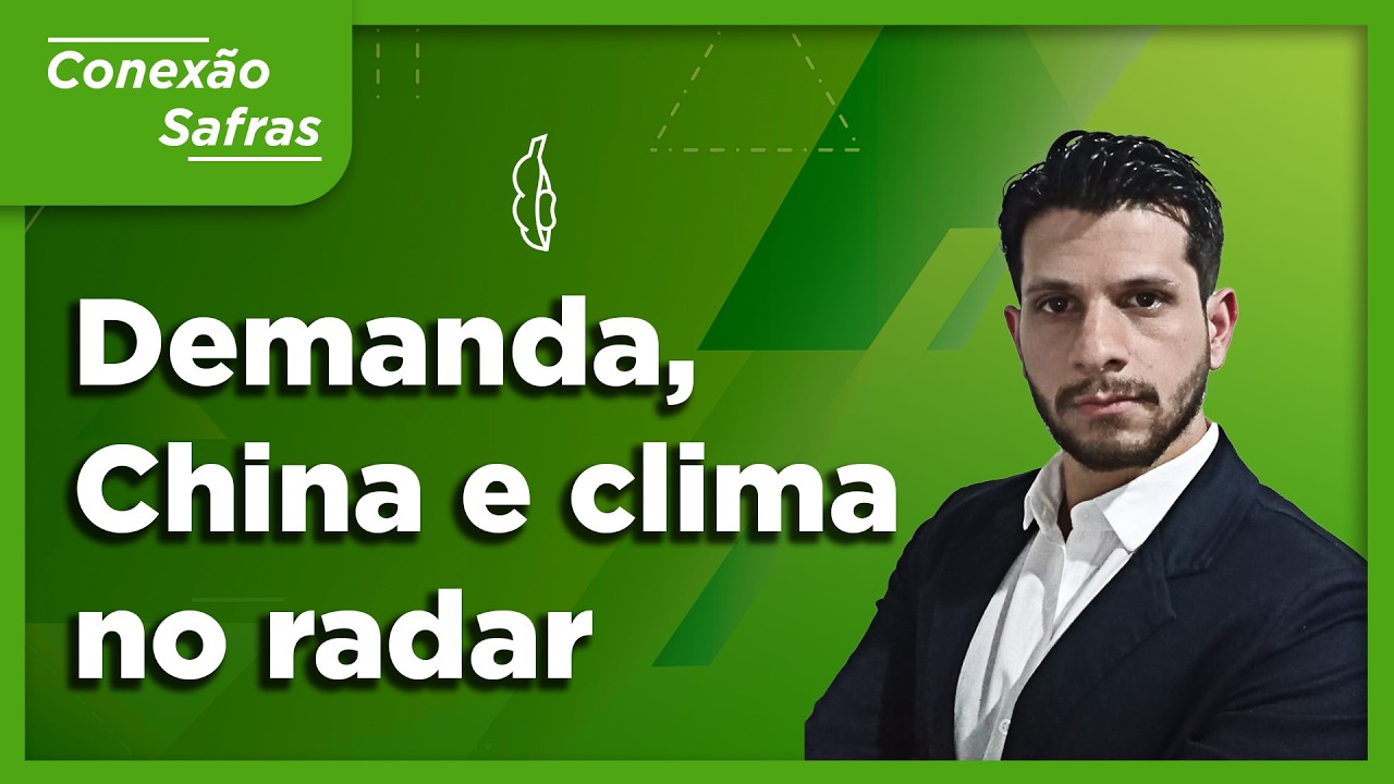 Soja em alta: Chicago pode chegar a US$ 13? - Conexão Safras
