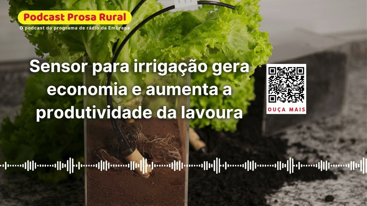 Sensor para irrigação gera economia e aumenta a produtividade da lavoura