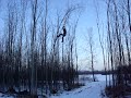 boy takes down tree