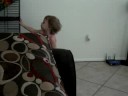 Madison Dancing