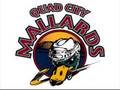Quad City Mallards Goal Horn