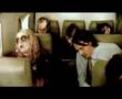 Karen Zoid Aeroplane Jane