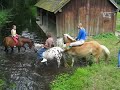 matt et ses copains a la riviere