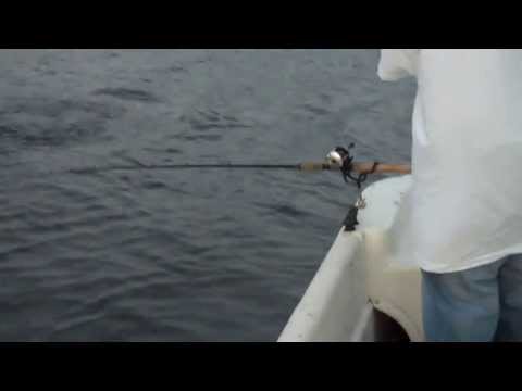 On Lake Allatoona w/Captain Fred Duncan….STRIPERS ALL DAY!!!!!