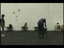 N'Zo Ot Vitosha doing bitework at Cascade K9