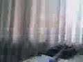 las 5 lucas falsas de tavo !!
