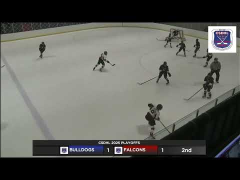 B. Hayden Chicago Bulldogs 24-25