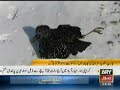 Cold Wave Leaves 160 Dead People in Europe.VO Asifa Idrees ARY News