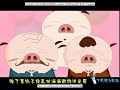Cartoon of Pig