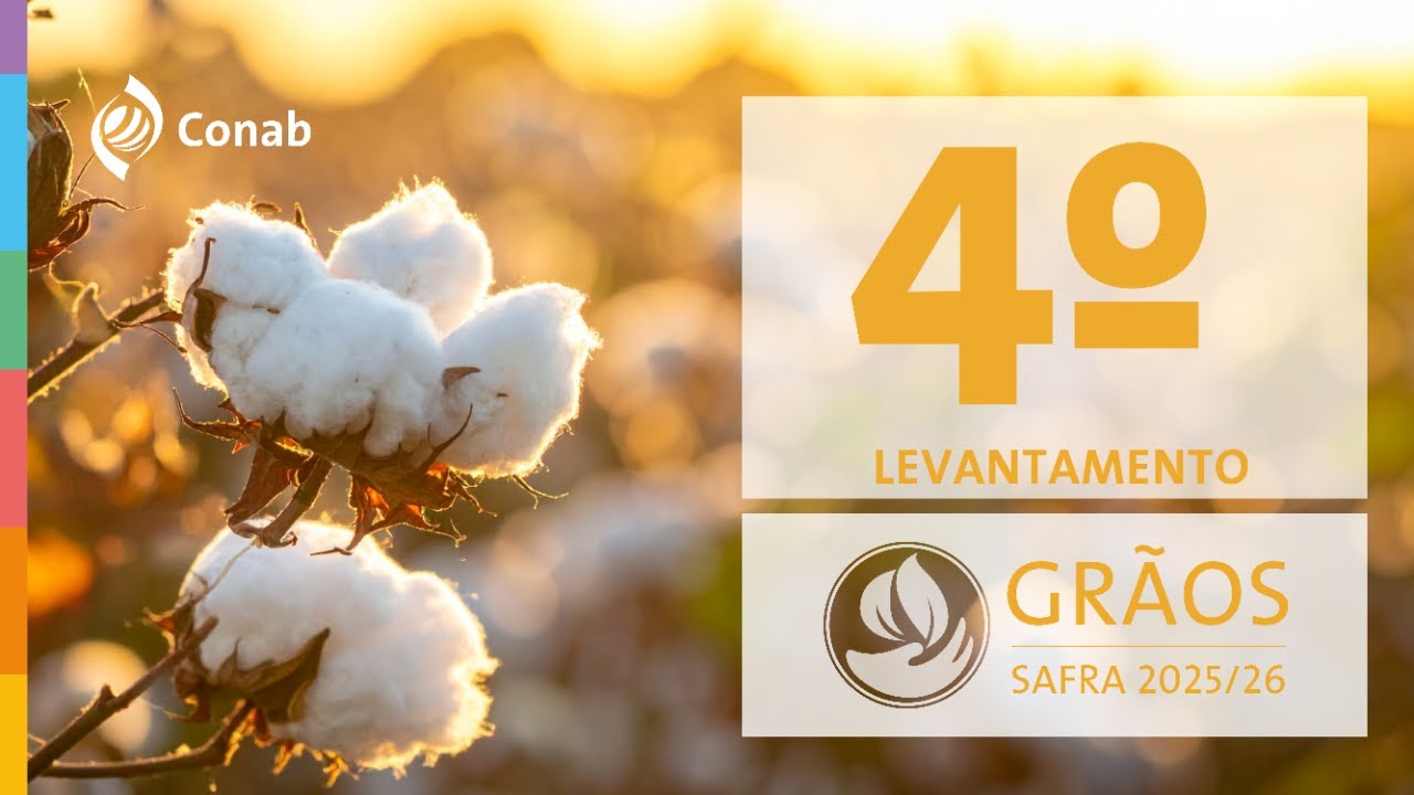 4º Levantamento da Safra de Grãos 2025/2026