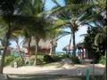 Paradisus Puna Cana (II)