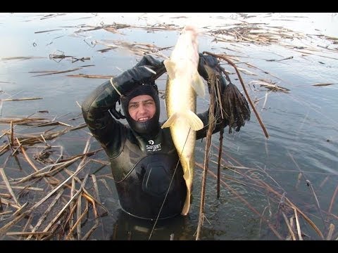 ловля сазана на реке маныч видео ловля сазана на реке маныч видео